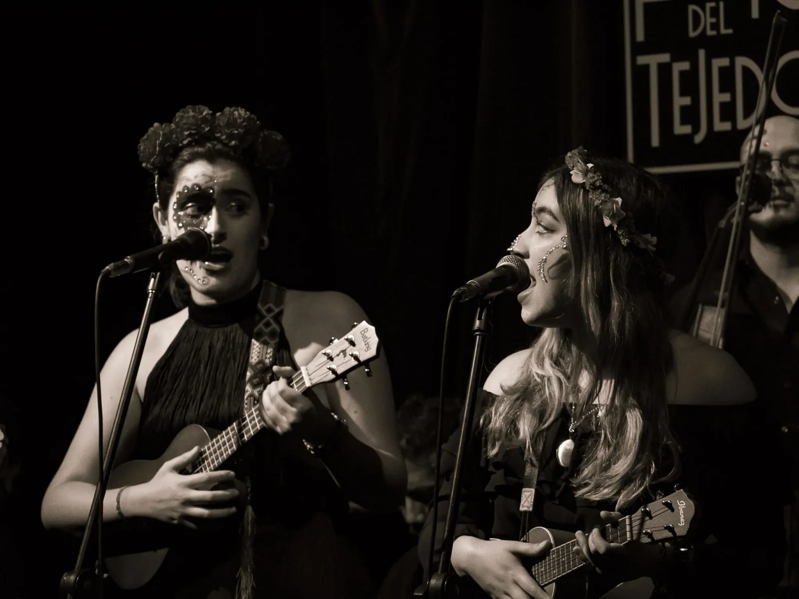 concert photography by JRMGraphy